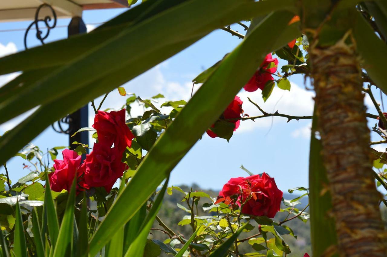 Garden View Apartments Ánaxosz Kültér fotó